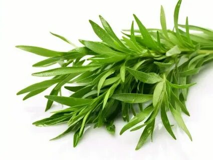 تصویر 2 از فروش سبزی ترخون خشک با شرایط استثنایی